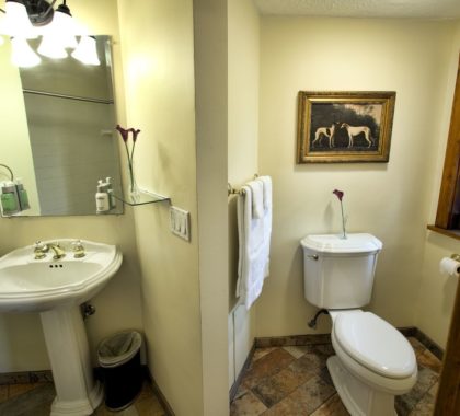 Estate room bathroom interior