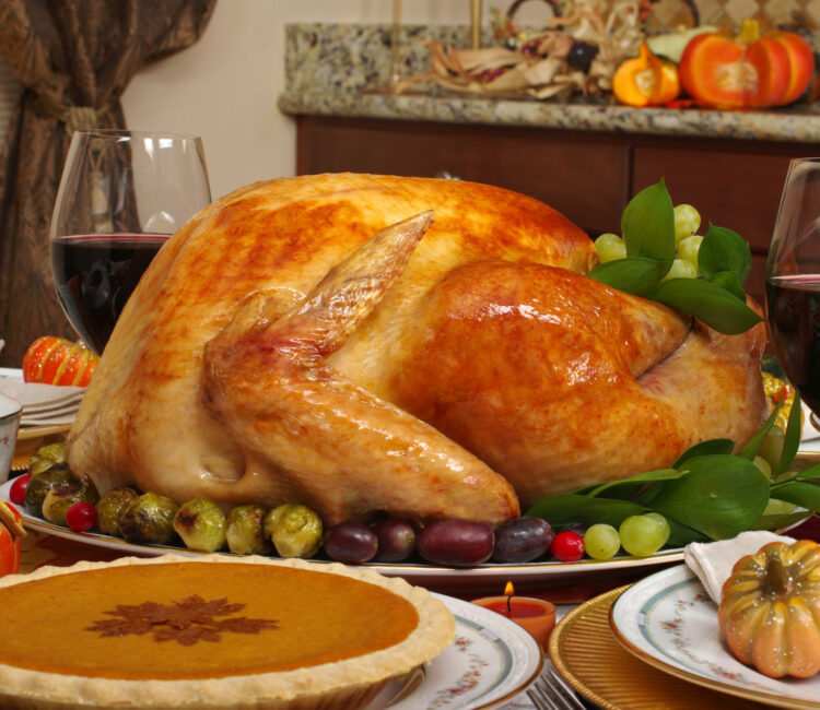 Thanksgiving Turkey and pie